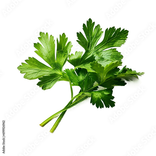 bunch of parsley