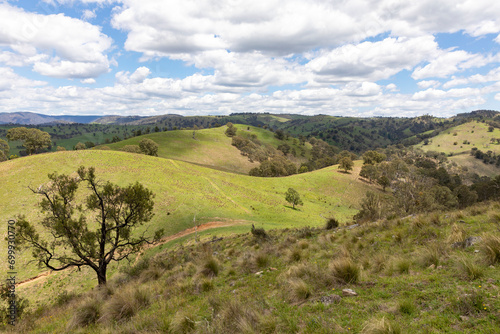 Australian bush landscape in New South Wales