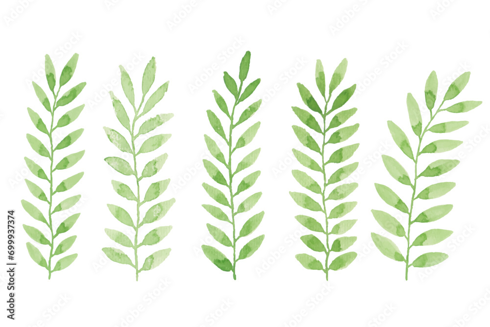 Assortment of watercolor leaves illustration set - green leaf branches collection for wedding, greetings, stationary, wallpapers, fashion, background. olive, green leaves, Eucalyptus etc