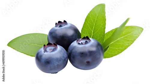 Blueberry with leaves isolated on transparent and white background.PNG image.