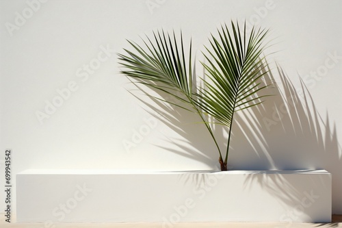 Solitary Palm Frond Shadow  Generative AI