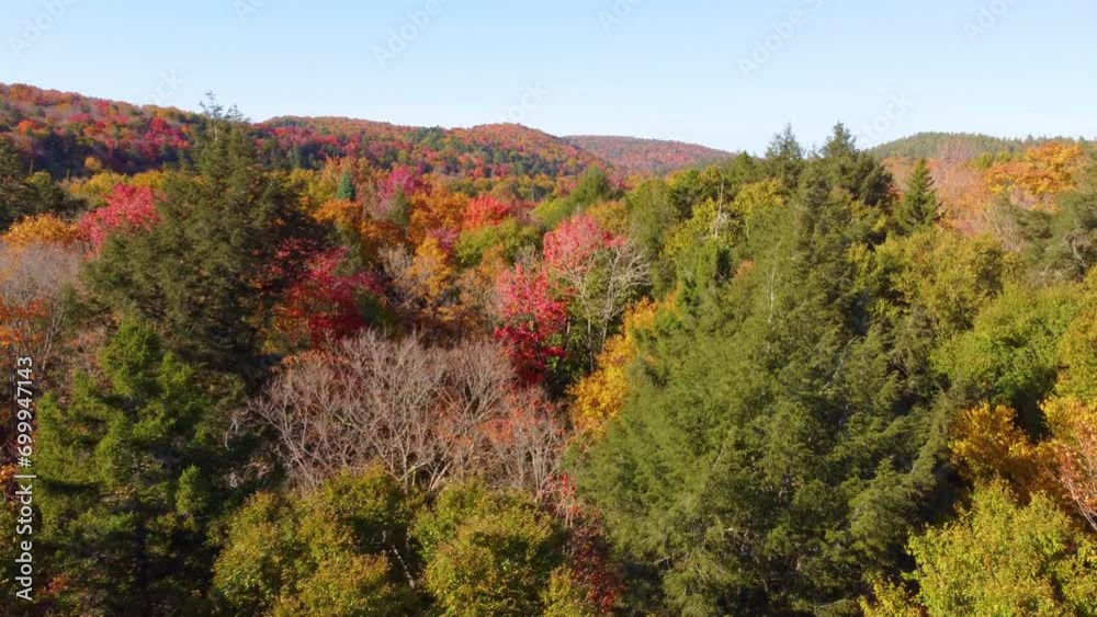 Treetop View of Rural Autumn Forest with Rolling Hills on the Horizon in Montreal Treetop View of Rural Autumn Forest with Rolling Hills on the Horizon in Montreal