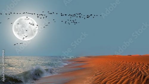 Flock of migration birds flying in V formation against sunset sky - Namib desert with Atlantic ocean meets near Skeleton coast - Namibia, South Africa photo