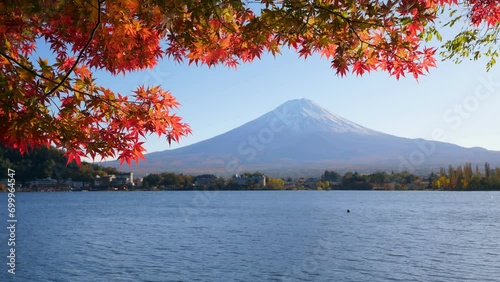 Bright colored leaves of maple trees growing at shores of Lake Kawaguchi at beautiful autumn season. Blurred Fuji mountain seen on background across water photo