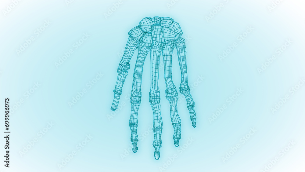 Human Hand bones wireframe 3D illustration