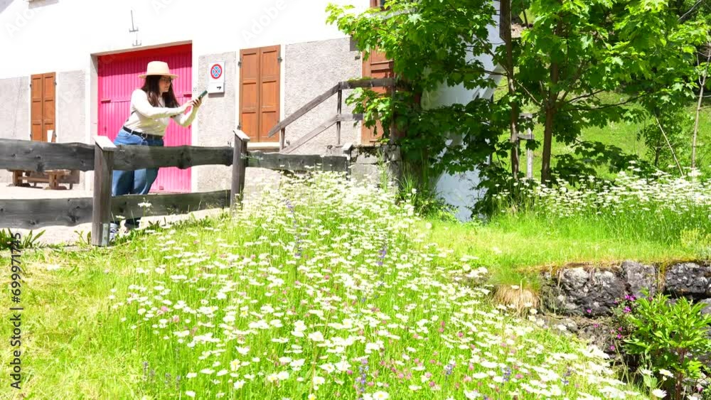 Wide shot of Dolomites rural village with woman taking picture of daisy field Wide shot of Dolomites rural village with woman taking picture of daisy field