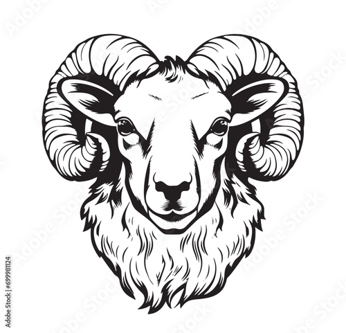 Mountain ram face logo hand drawn sketch Vector illustration