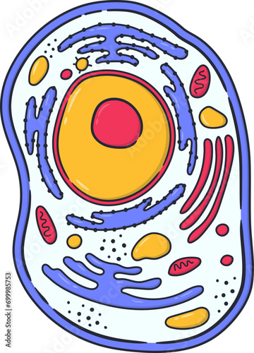 Clip Art Cytoplasm of Bacteria