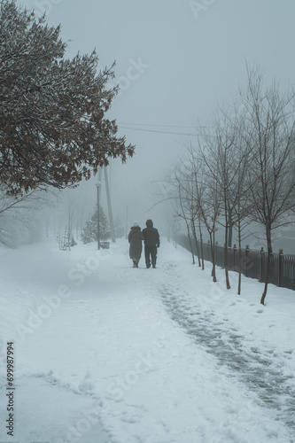 backs of elderly couple a man and woman walking along an alley in park in winter with snow in the fog