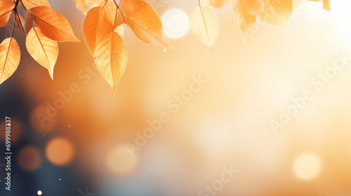Autumn leaves on blurry bokeh background