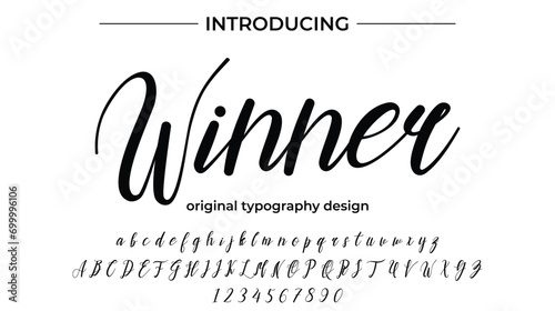 Winner. Handdrawn calligraphic vector font for hand drawn messages. Beautiful font calligraphy.