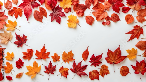 Autumn leaves background images, Fall foliage stock photos, Seasonal leaves copy space, White background with autumn leaves, Nature theme with copy space, Autumnal foliage visuals