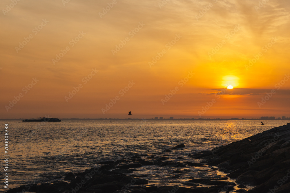 Minutes before sunrise at the beach, orange sky at the break of dawn, calm sea and bird flying on the sky. Landscape wide angle shot.