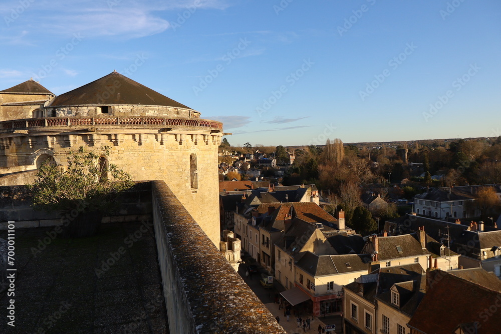 Vue d'ensemble de la ville, ville de Amboise, département de l'Indre et Loire, France