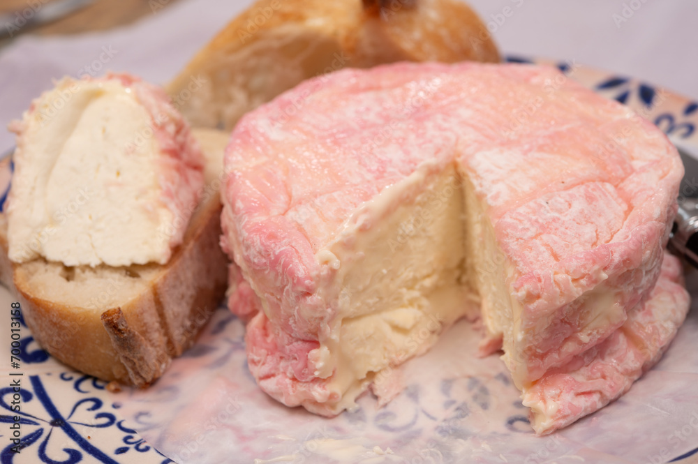 Cheese collection, French fresh white soft goat cheese soaked in rose champagne wine Cheese collection, French fresh white soft goat cheese soaked in rose champagne wine
