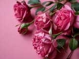 Beautiful pink roses on a pink background. Flat lay, top view. Generative AI
