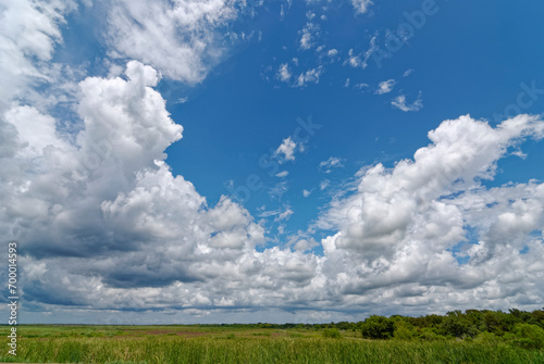 A weather Front passing over the Coastal San Bernard National Wildlife refuge on the Gulf Coast of Texas, near to Freeport..