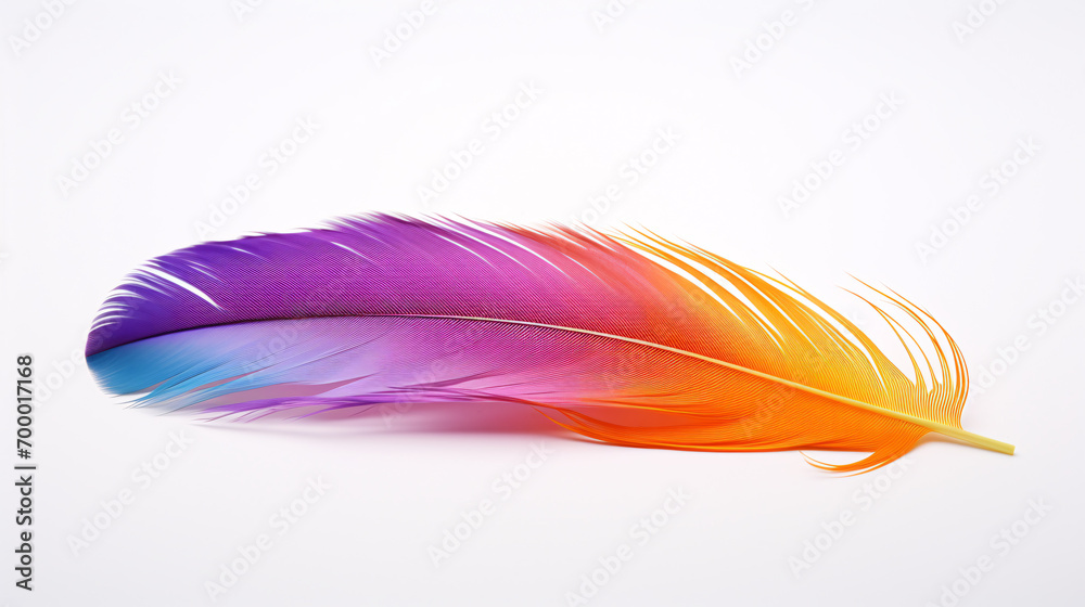 Close up of a single brightly colored feather isolated on a single color background 