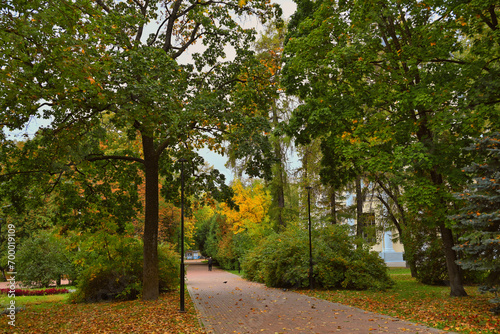 Autumn daytime alley in Kaluga central park © pdeminhiker