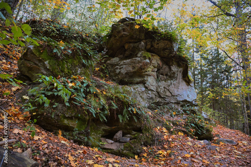 Massive stones in the forest near Kozelsk town photo