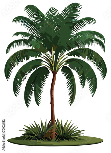 Exotic Palm Tree Vector Illustration Isolated on White
