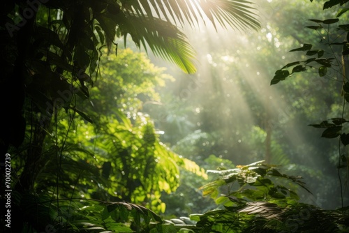 Sunlight filtering through layers of tropical leaves in a serene forest  Generative AI