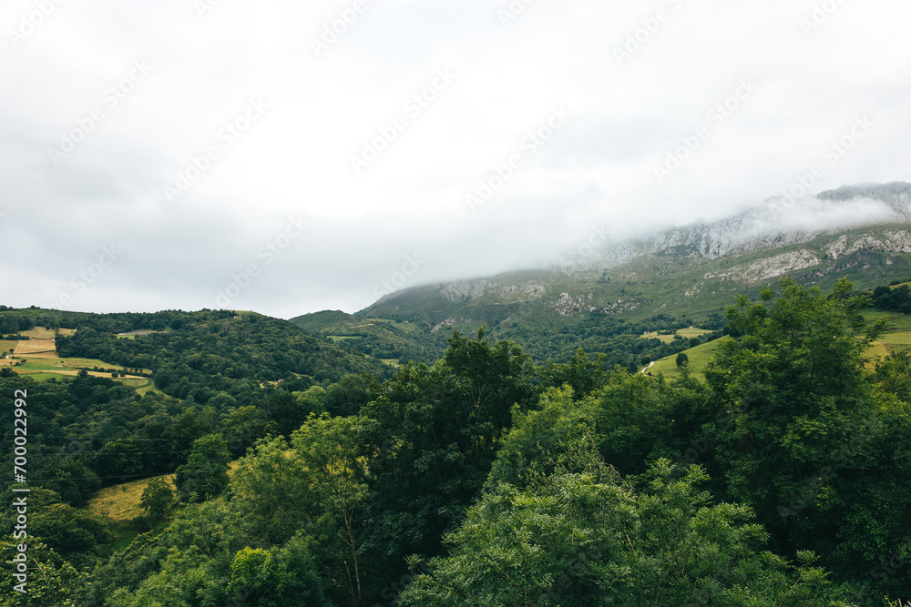 Natural landscape of a green forest with clouds and fog in the mountains. Concept of nature, forest and environment