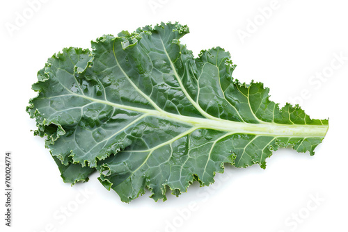 a leaf of kale on isolated white background photo