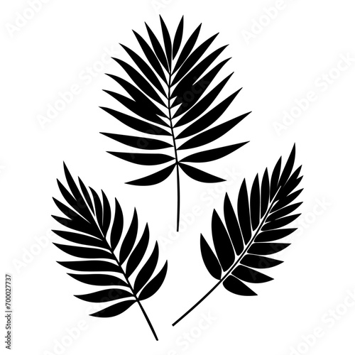 minimal tropical leave vector silhouette, black color silhouette, white background