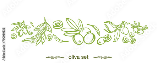 Green olive sketch element collection, olive branches isolated on a green background, leaves, olives, vector hand drawn set.	