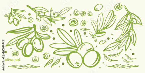 Green olive sketch element collection, olive branches isolated on a green background, leaves, olives, vector hand drawn set.	