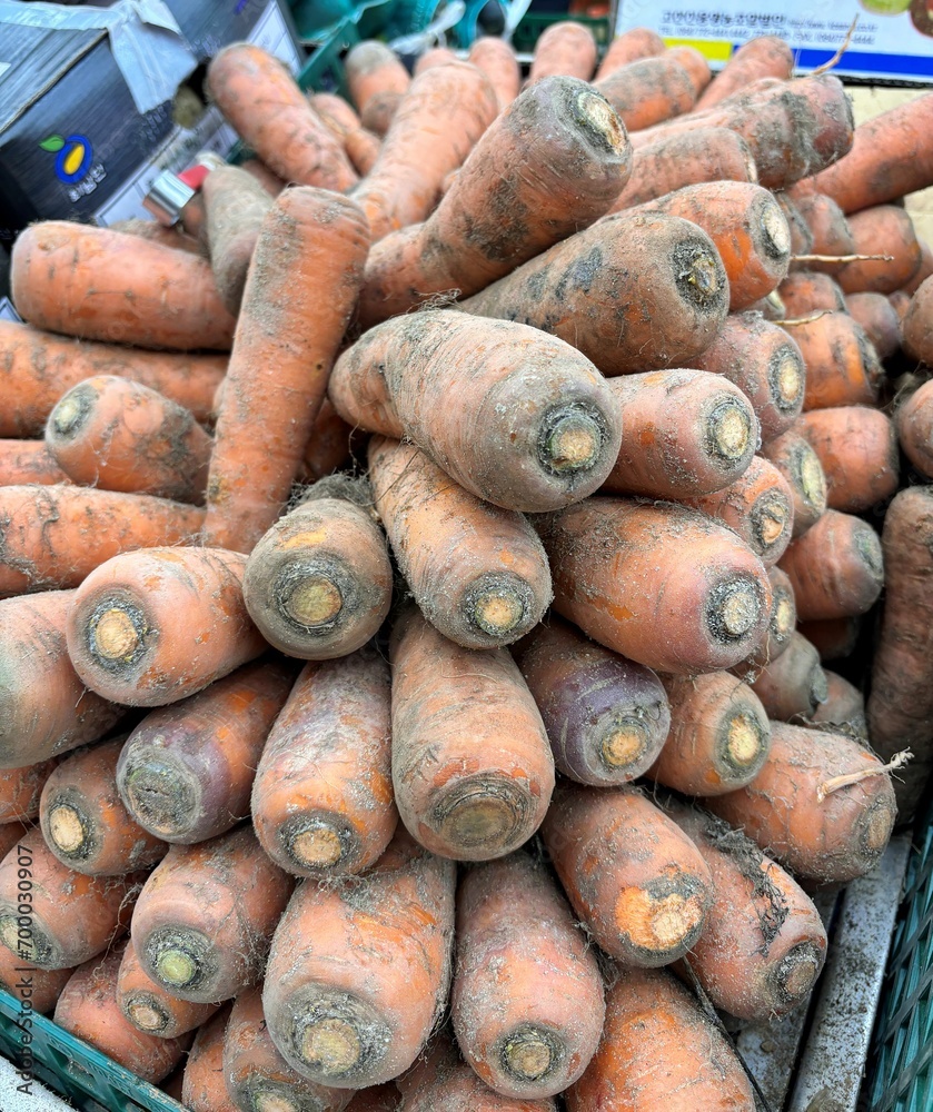 Fresh carrots with dirt on them are piled up