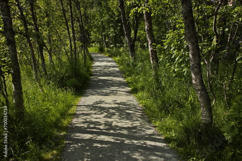 Hiking track at the lake Prestvannet in Tromso in Troms county, Norway, Europe 