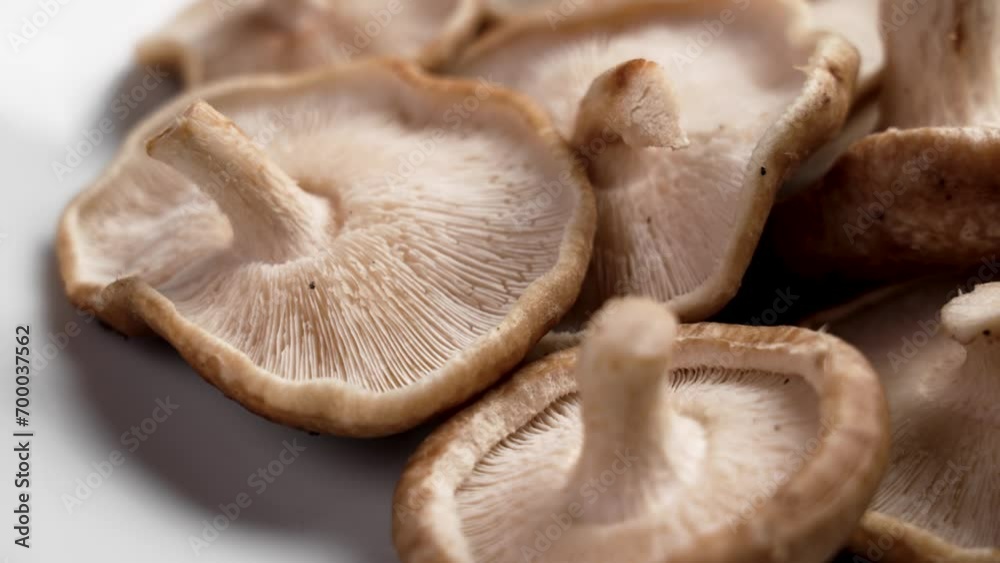 Shiitake mushrooms on a white dish close up. Edible raw fungus. Rotation Shiitake mushrooms on a white dish close up. Edible raw fungus. Rotation
