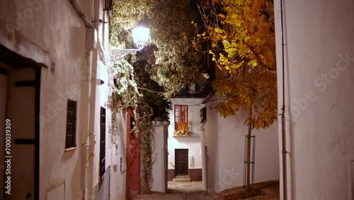 The Albaicin, also known as Albayzin, quarter of Granada, Andalucia, Spain, at night, showing a blend of Moorish and Andalusian styles and traditions photo