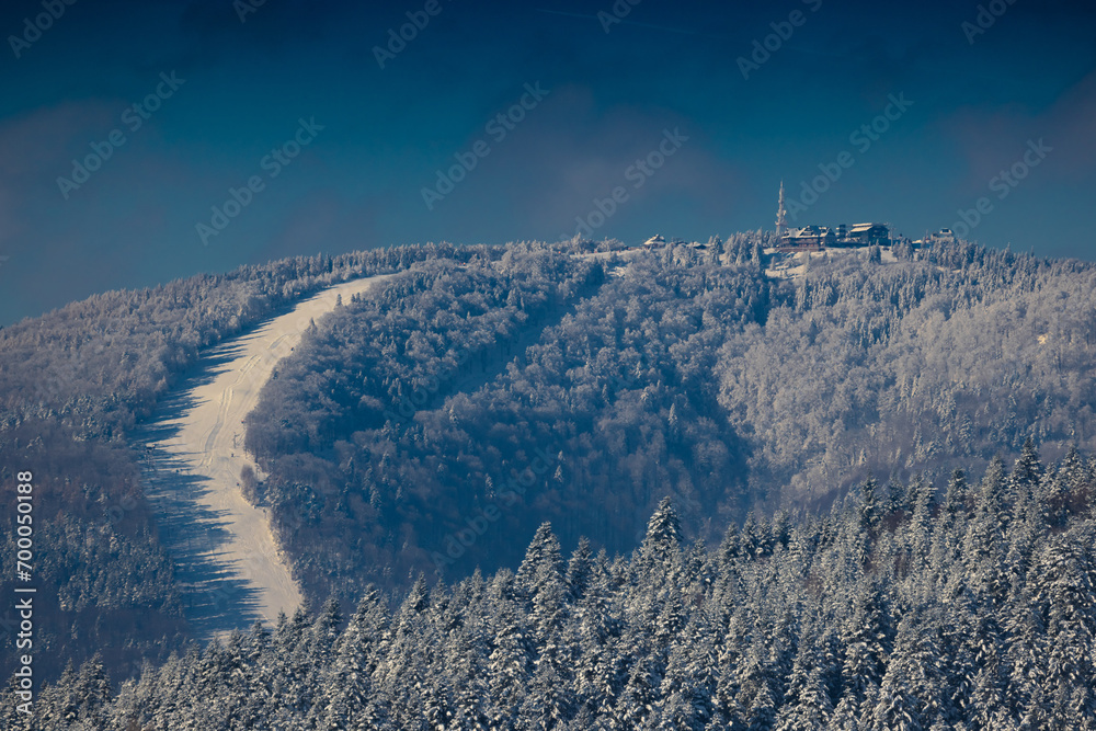 Stacja narciarska Master-Ski w Tyliczu zimą. Piękny, zimowy krajobraz. - obrazy, fototapety, plakaty 