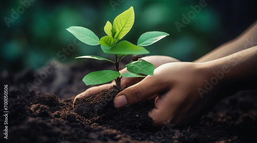 Human hand gently touching plant with green leaves.
