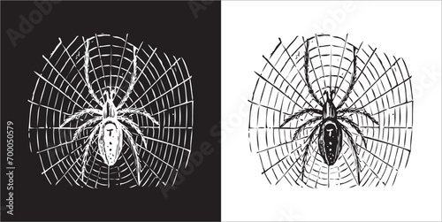  Illustration vector graphics of spider ico photo