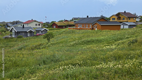 Residential houses at Ramberg on Lofoten in Nordland county, Norway, Europe
