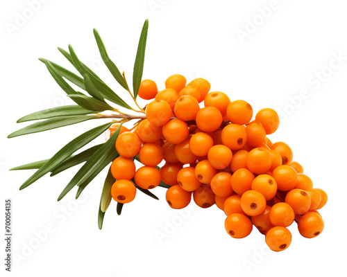 a bunch of orange berries