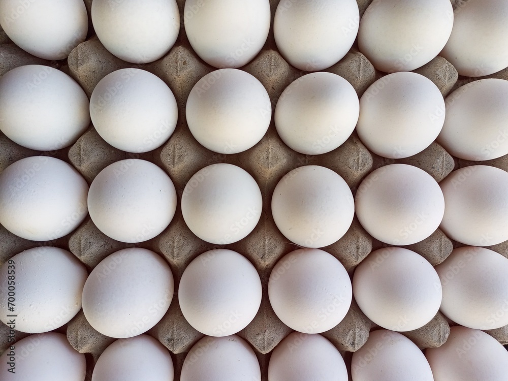 White eggs in a row White eggs in a row