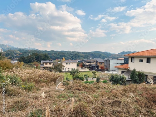 Wallpaper Mural 日本の風景　丘陵地に広がる住宅地 Torontodigital.ca