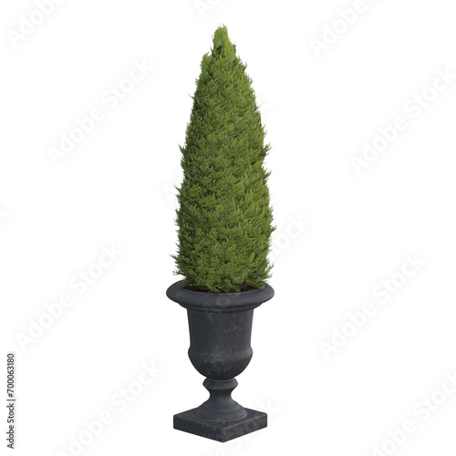 home decorative indoor plants in multiple Style no background, beautiful assets, no background flowers and plants