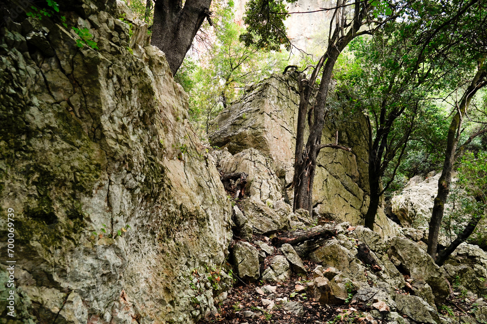 Dolina di Tiscali. Oliena. Sardegna, Italy