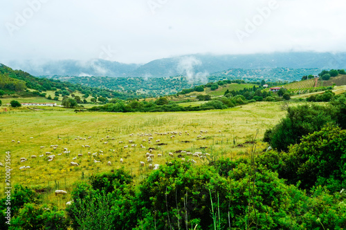 Barbagia nella nebbia. Oliena. Sardegna, Italy