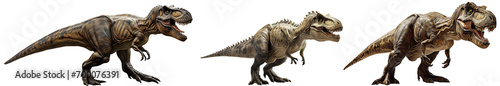 Tyrannosaurus Rex collection, bundle of three different T-Rex dinosaurs isolated on a white background