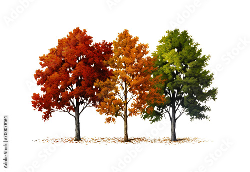 Seasonal_colors_trees_closeup_full_body