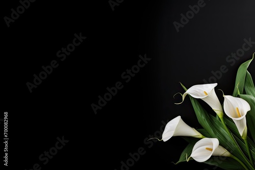 Calla lily flowers on black background sympathy card Condolences on deaths concept