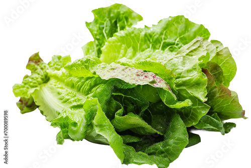 Isolated Green Lettuce on a transparent background