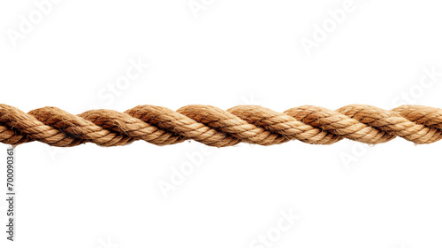 Twisted Rope on Clear White on a transparent background